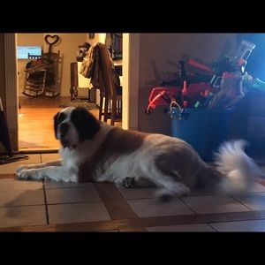 Meet your Posher, Danny